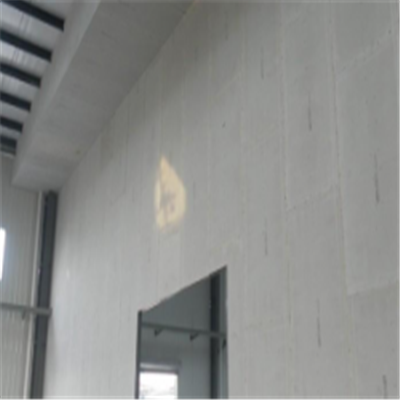 古蔺新型建筑材料掺多种工业废渣的ALC|ACC|FPS模块板材轻质隔墙板